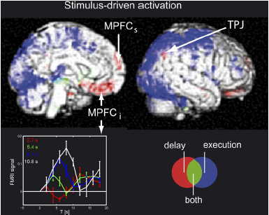 Reading Hidden Intentions in the Human Brain