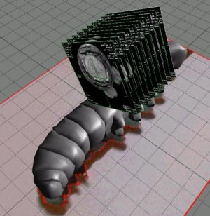 copyright Barry Trimmer