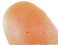 Poussiere RFId
