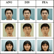 Exemples de visages traduisant la colère, le dégoût et la peur