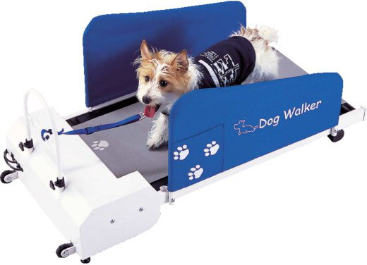Un tapis de chien
