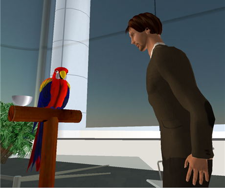 parrot.png