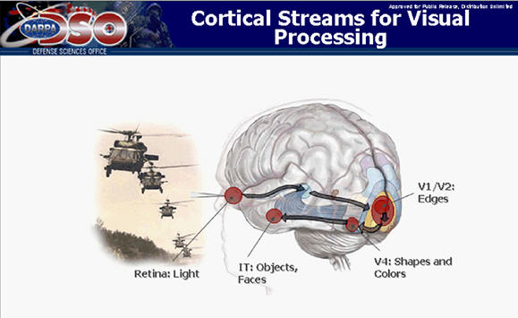 Le système de lunettes de la Darpa, de l'alerte au cerveau