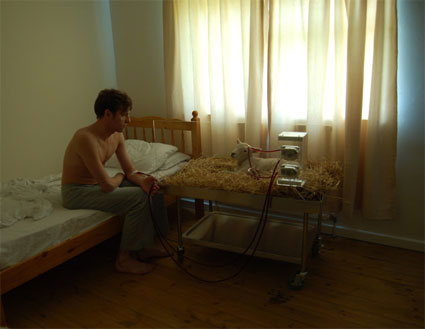 Le mouton à dialyse de Revital Cohen