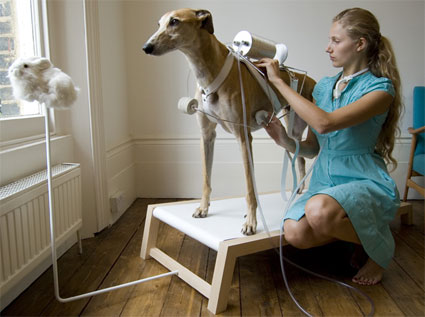 Le chien respiratoire de Revital Cohen