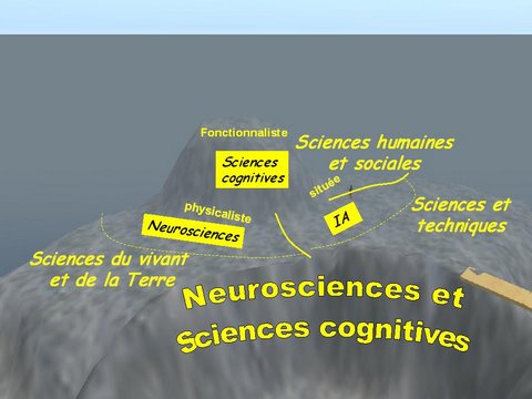 La carte des neurosciences et des sciences cognitives