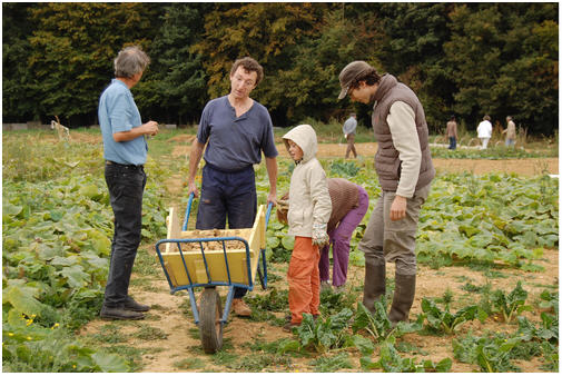Dans une Amap, par Adèle Seyrig Dans une Amap, par Adèle Seyrig