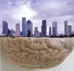 Villes et cerveau, des analogies par Rensselaer/Mark Changizi Villes et cerveau, des analogies par Rensselaer/Mark Changizi