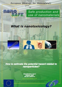 Rapport sur la nanotoxicologie