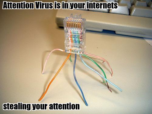 attentionvirus attentionvirus