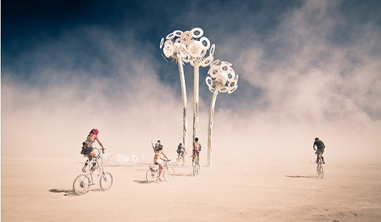 burningman2010 burningman2010