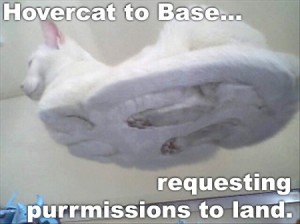 lolcat01 lolcat01