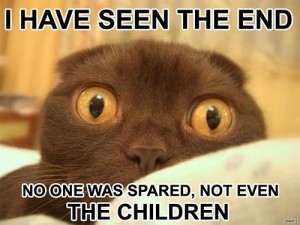 lolcat04 lolcat04