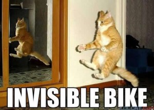 lolcat06 lolcat06