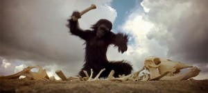 2001-a-space-odyssey-ape 2001-a-space-odyssey-ape