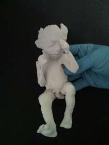 L'un des étranges foetus de Jorge Lopes
