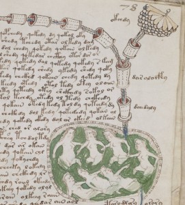 Une page du manuscrit Voynich Une page du manuscrit Voynich