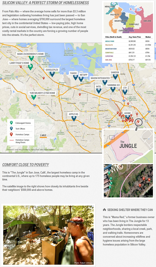 junglebusinessinsider