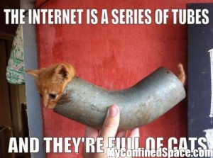 the-internet-is-a-series-of-tubes-and-they-are-full-of-cats-500x373