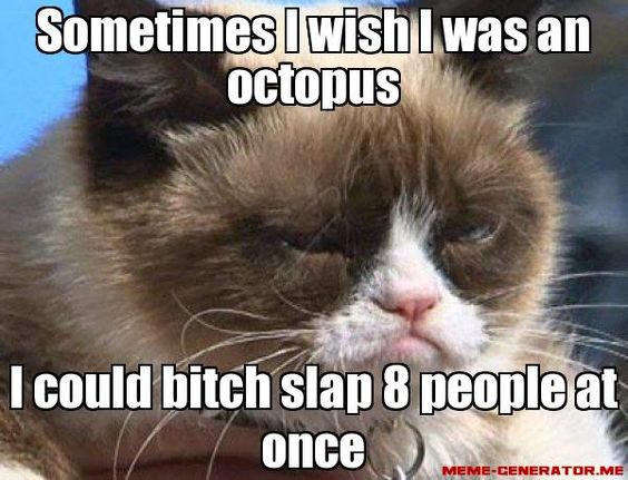 octocat