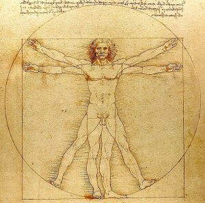 L'Homme de Vitruve de Leonard L'Homme de Vitruve de Leonard